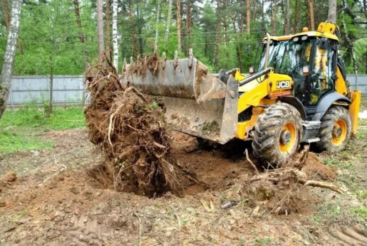 Удаление пней и корчевание вручную и со спецтехникой стоимость услуг и где заказать - Чебоксары