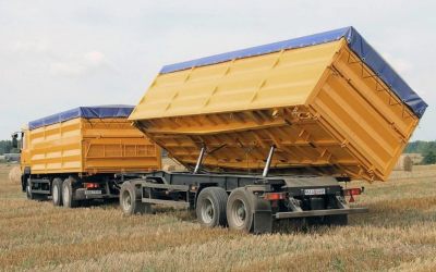 Услуги зерновозов для перевозки зерна - Чебоксары, цены, предложения специалистов