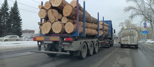 Поиск транспорта для перевозки леса, бревен и кругляка стоимость услуг и где заказать - Чебоксары